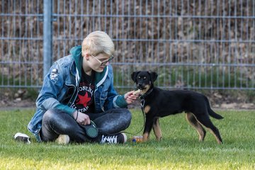 Bild 34 - Frauen SV Boostedt - TSV Aukrug : Ergebnis: 6:2